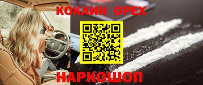 сатива Новокубанск