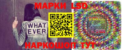 сатива Новозыбков