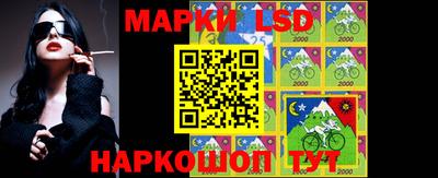 сатива Новозыбков