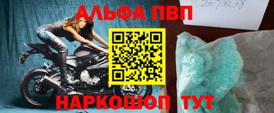 сатива Новозыбков