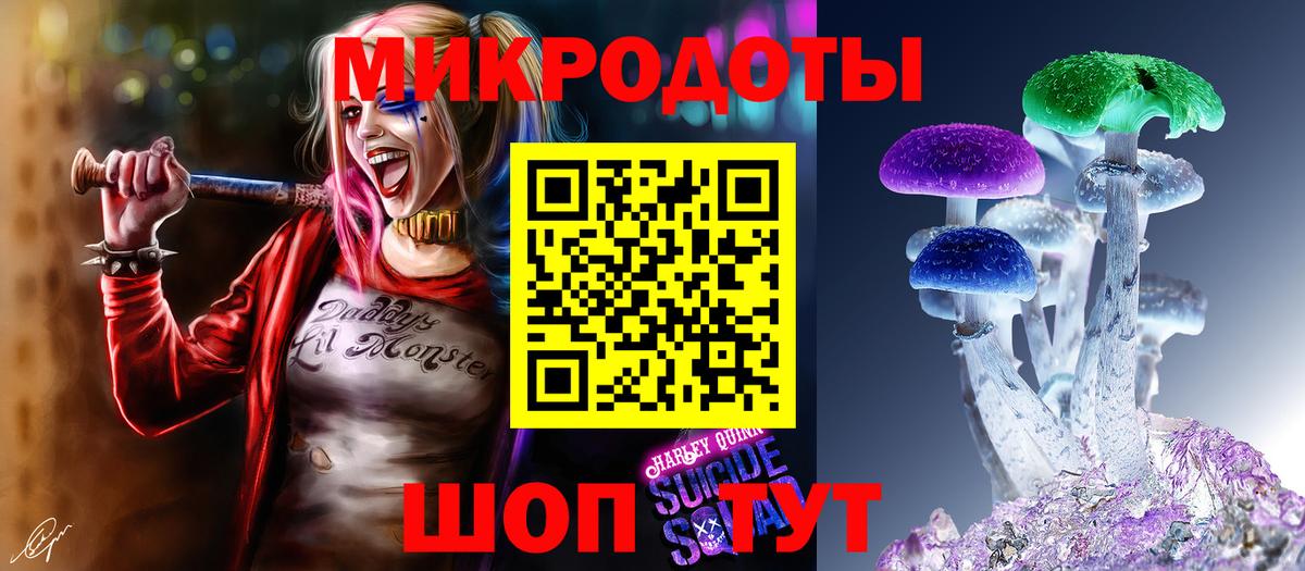 Псилоцибиновые грибы Psilocybe  Вход с VPN  Галлюциногенные грибы мухоморы  Славгород 